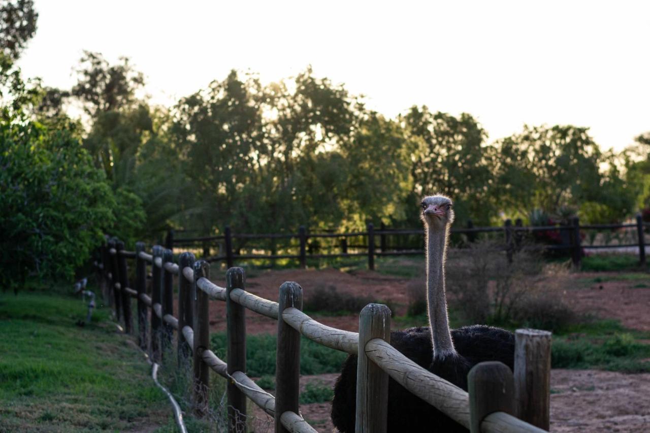 Mooiplaas Guesthouse Oudtshoorn Eksteriør bilde